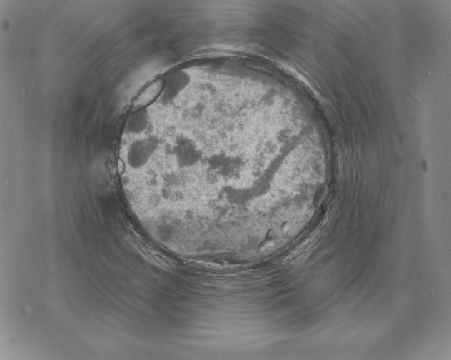 X0000075831355200610151509