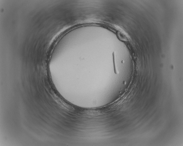 X0000075831356200610151509