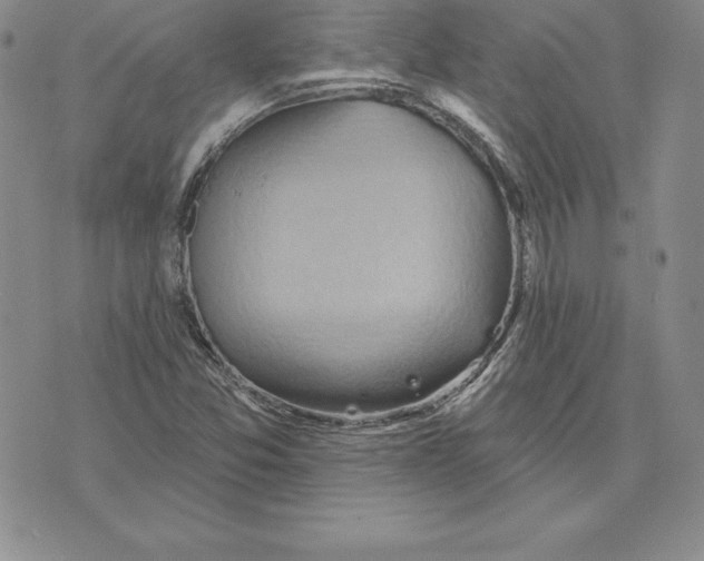 X0000075831357200610151509