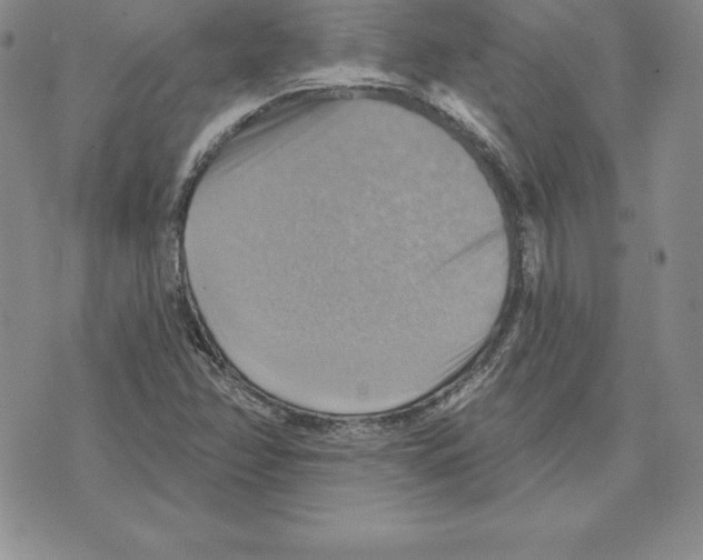 X0000075831358200610151509