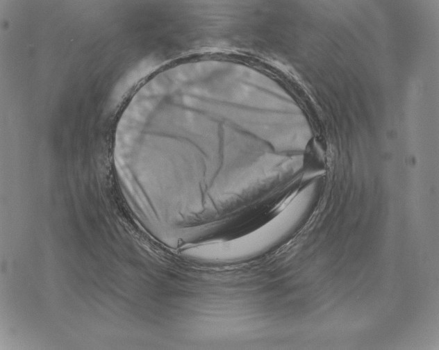 X0000075831359200610151509