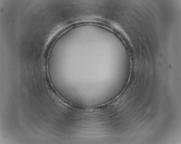 X0000075831360200610151509