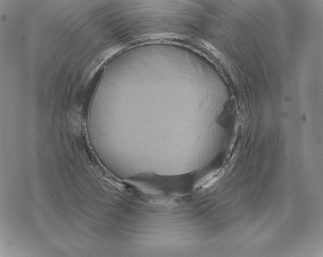 X0000075831361200610151509