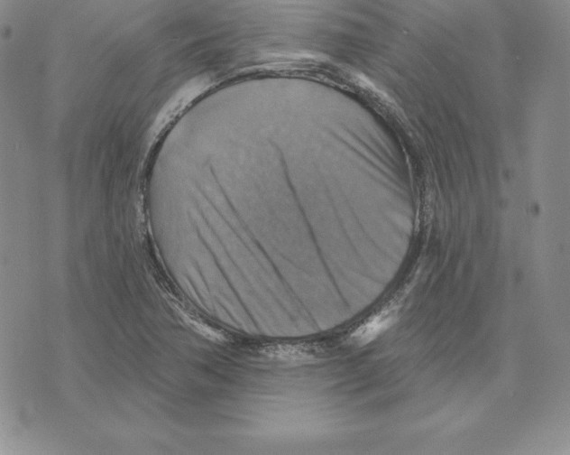 X0000075831362200610151509