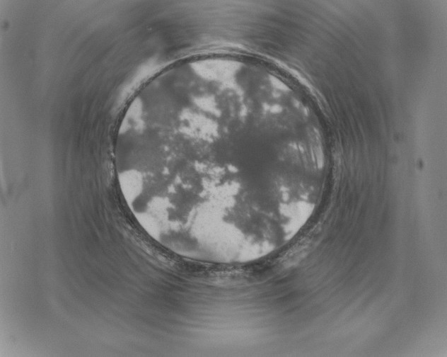 X0000075831363200610151509