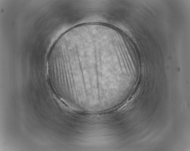 X0000075831366200610151509