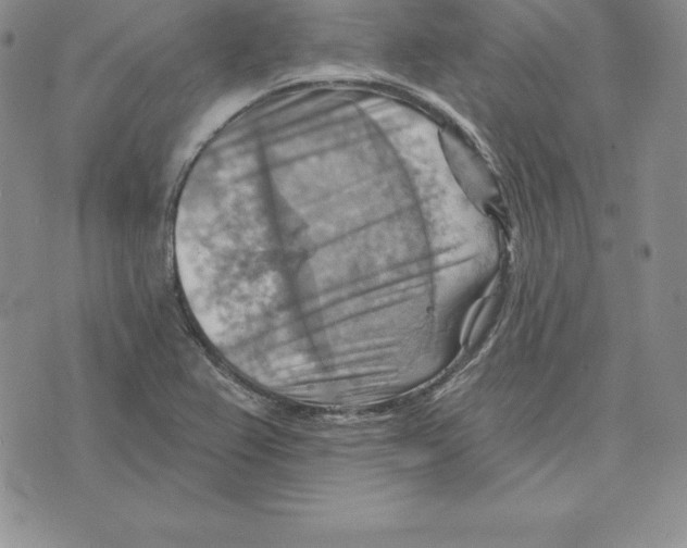 X0000075831367200610151509