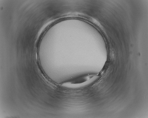 X0000075831368200610151509