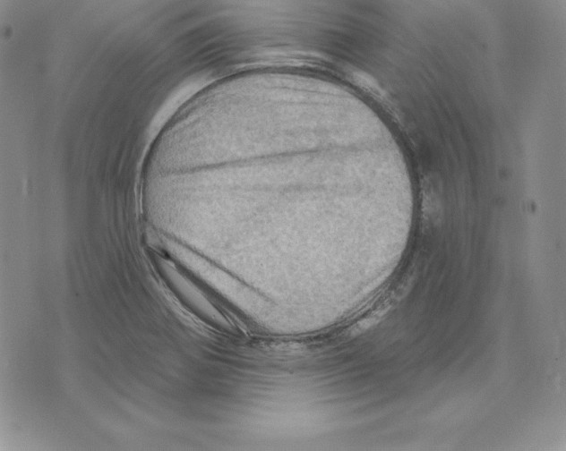 X0000075831370200610151509