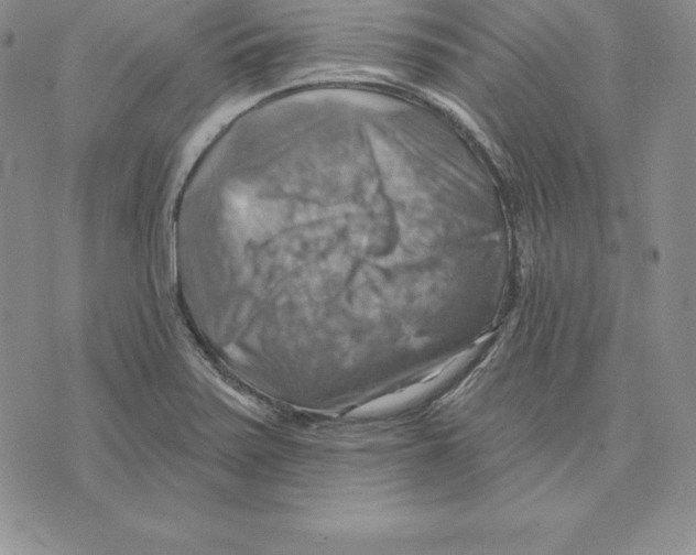 X0000075831371200610151509