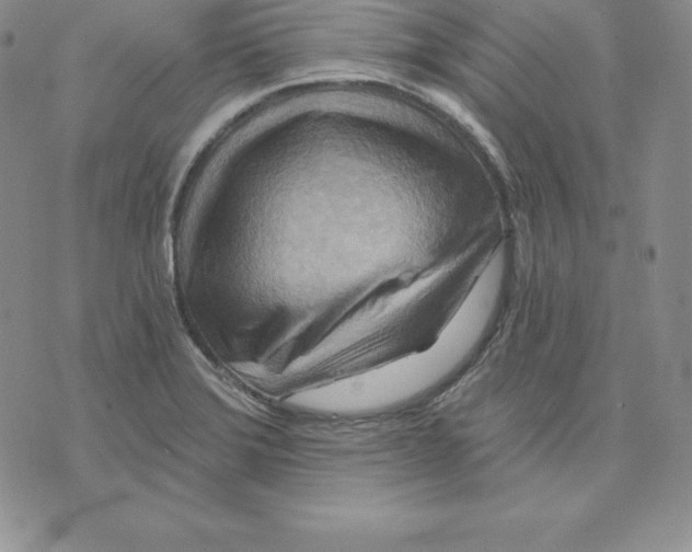 X0000075831372200610151509