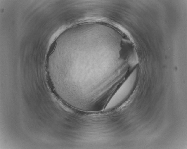 X0000075831373200610151509