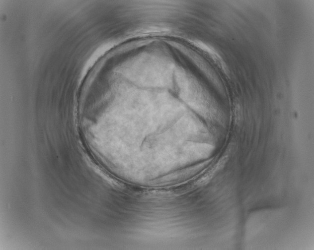 X0000075831374200610151509