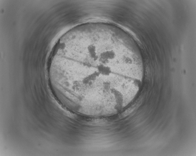 X0000075831375200610151509