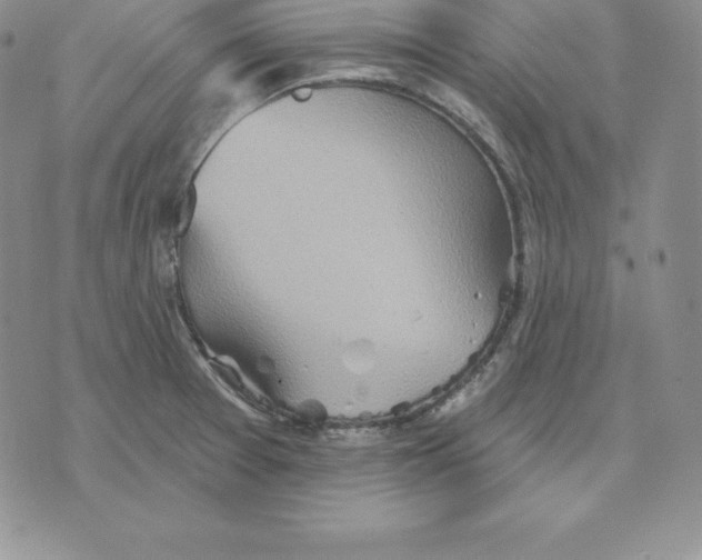 X0000075831377200610151509