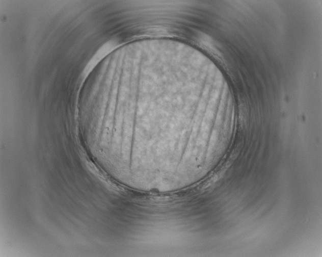 X0000075831378200610151509