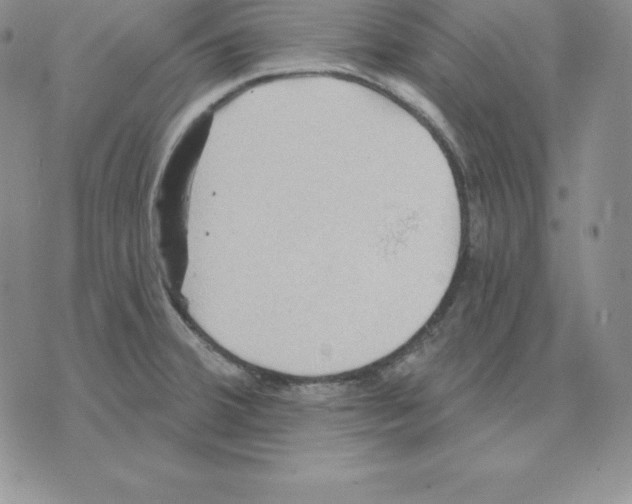 X0000075831380200610151509