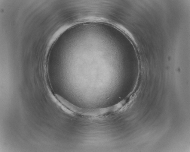 X0000075831381200610151509