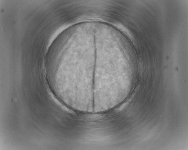 X0000075831382200610151509