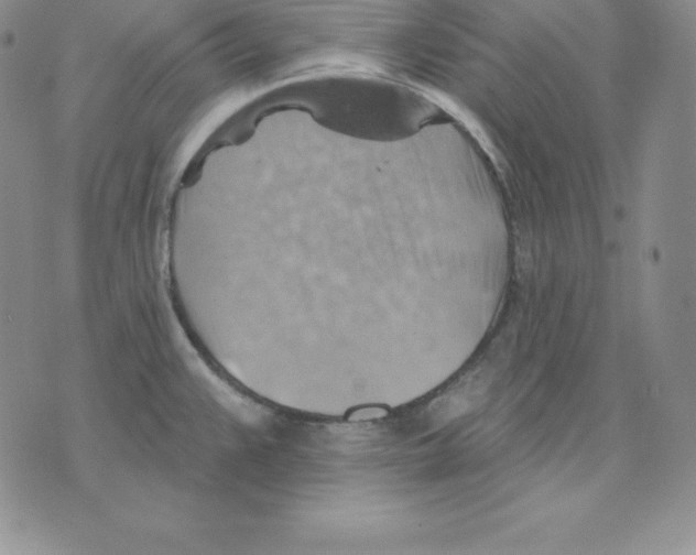 X0000075831383200610151509