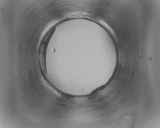 X0000075831384200610151509