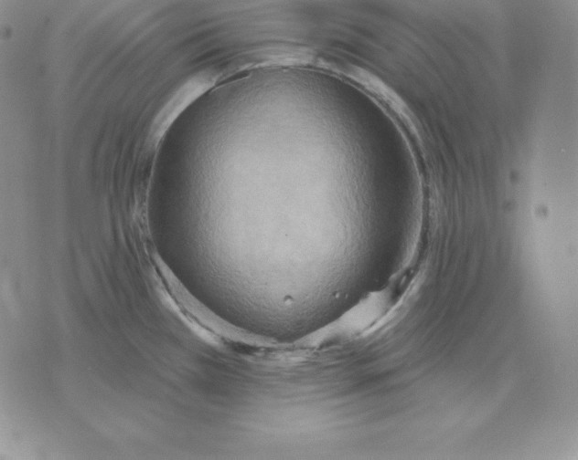 X0000075831385200610151509