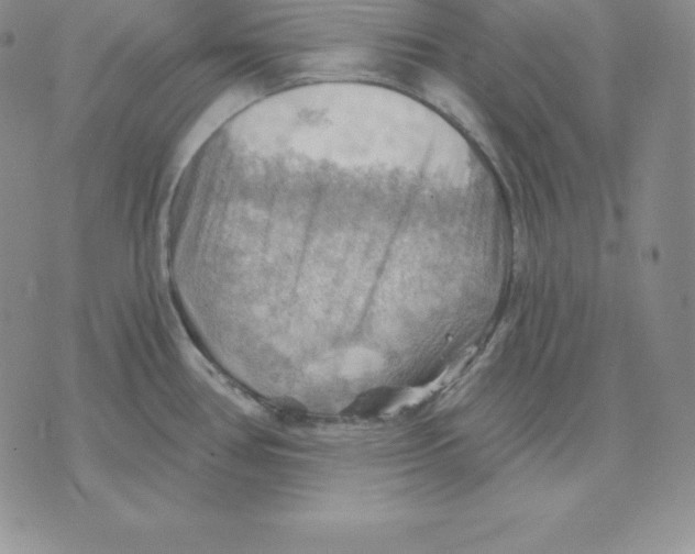 X0000075831386200610151509