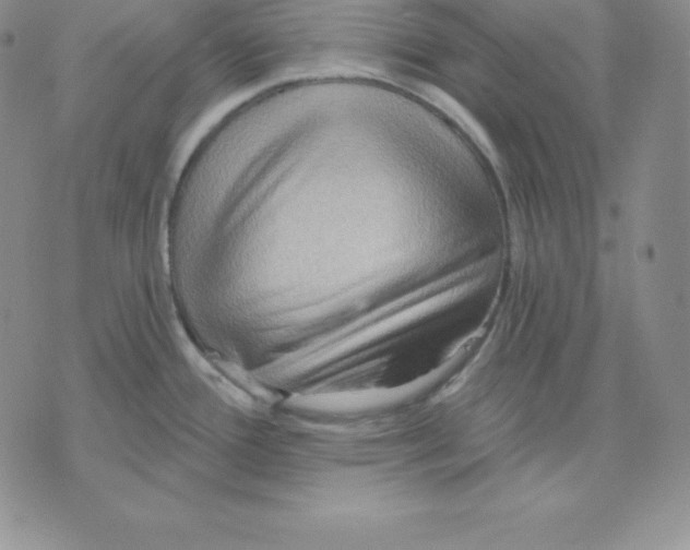 X0000075831388200610151509