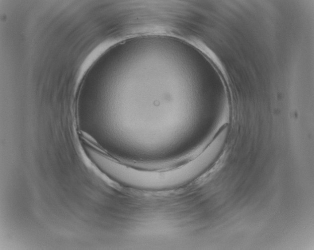 X0000075831389200610151509