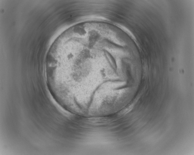 X0000075831391200610151509