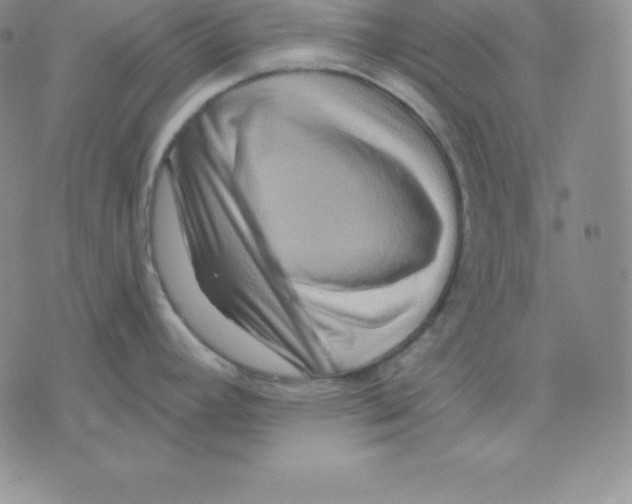 X0000075831392200610151509