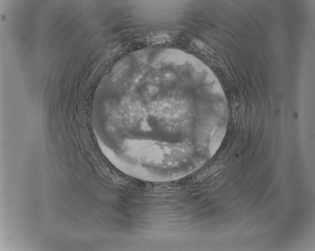 X0000075831393200610151508