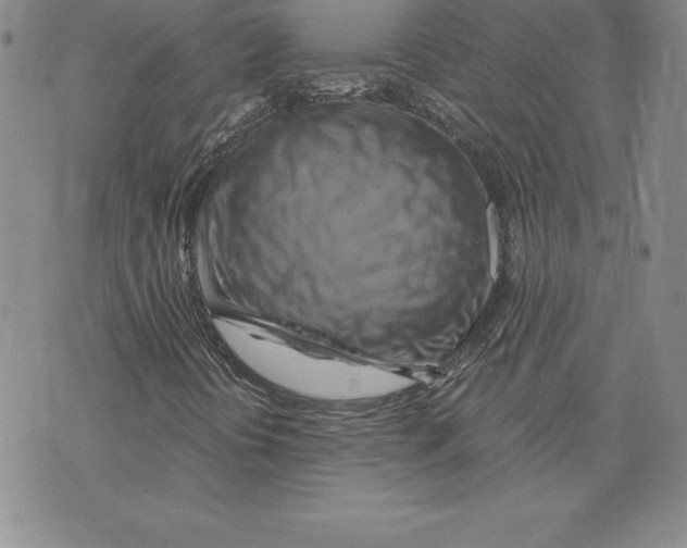 X0000075831394200610151508