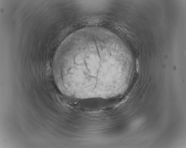 X0000075831395200610151508