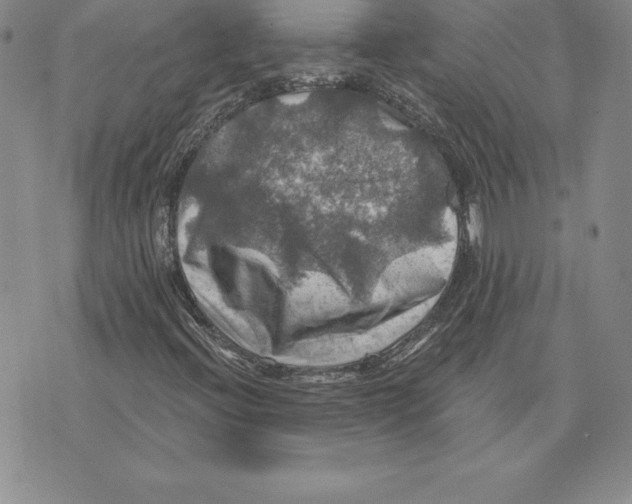 X0000075831396200610151508