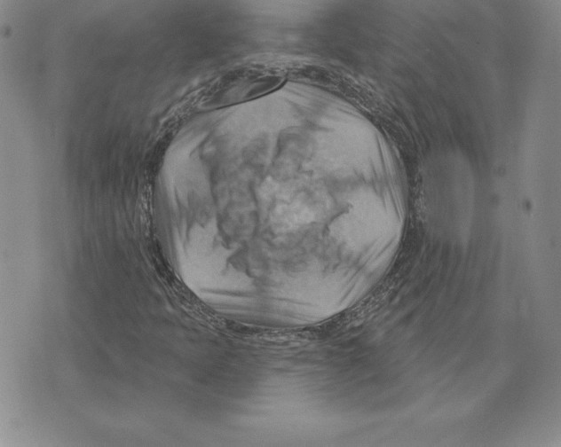 X0000075831397200610151508