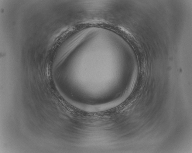 X0000075831398200610151508