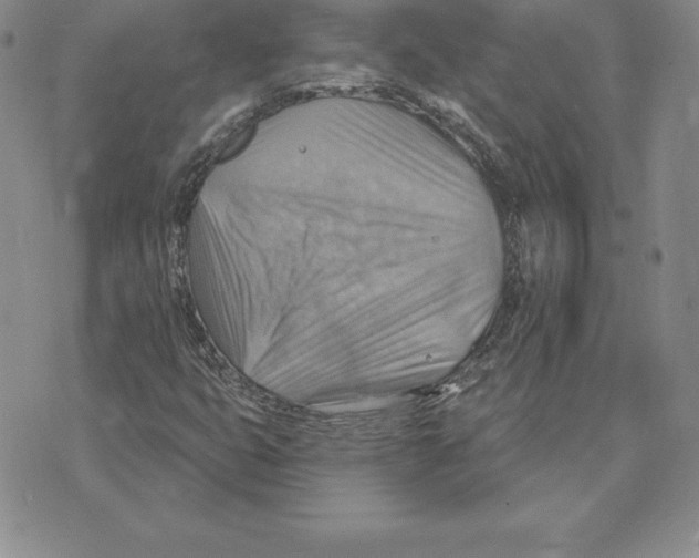 X0000075831399200610151508