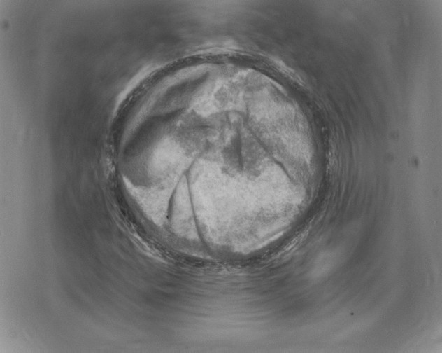 X0000075831400200610151508