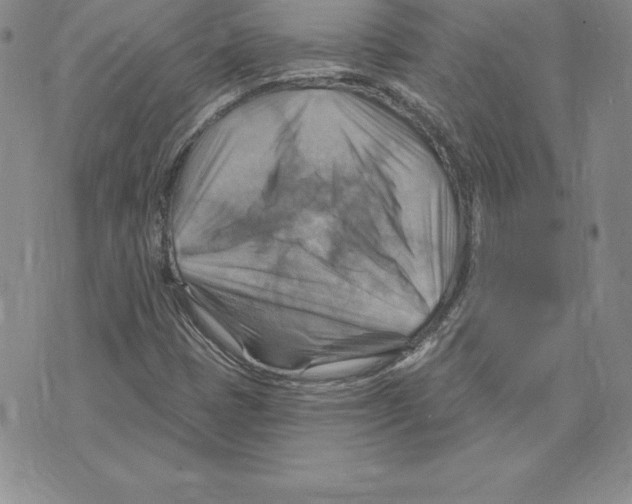 X0000075831401200610151508