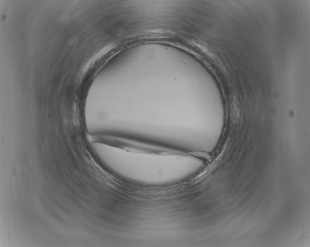 X0000075831402200610151508