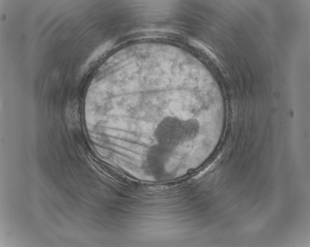 X0000075831403200610151508