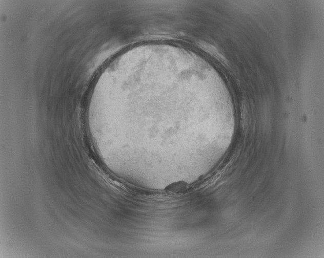 X0000075831404200610151508