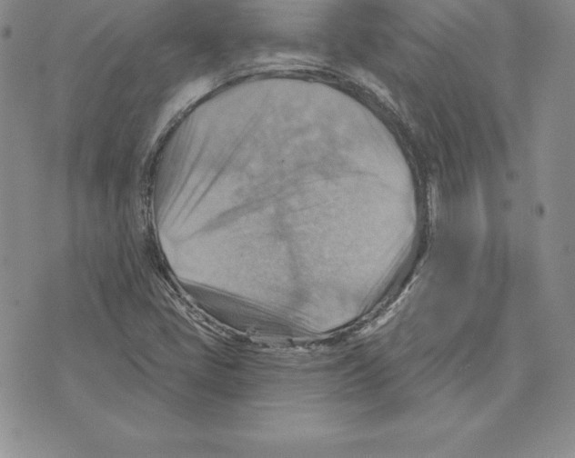 X0000075831405200610151508