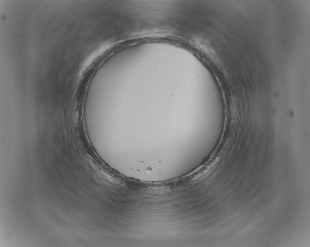 X0000075831406200610151508