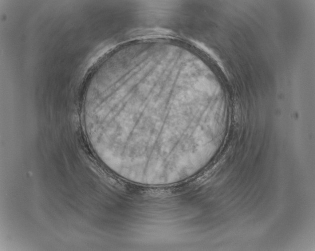 X0000075831407200610151508