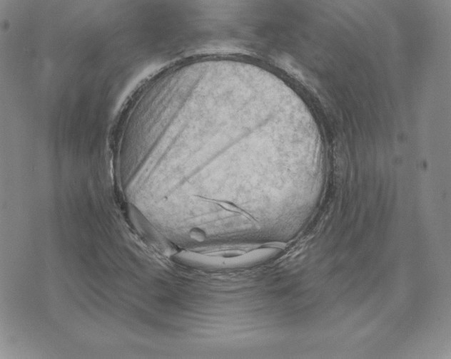 X0000075831408200610151508