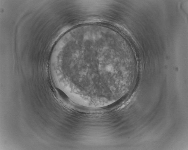 X0000075831409200610151508