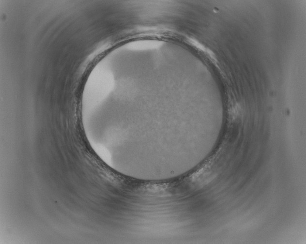 X0000075831411200610151508