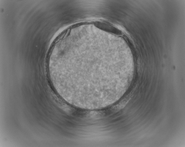 X0000075831412200610151508